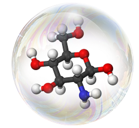 Glucosamine & Chondroitin